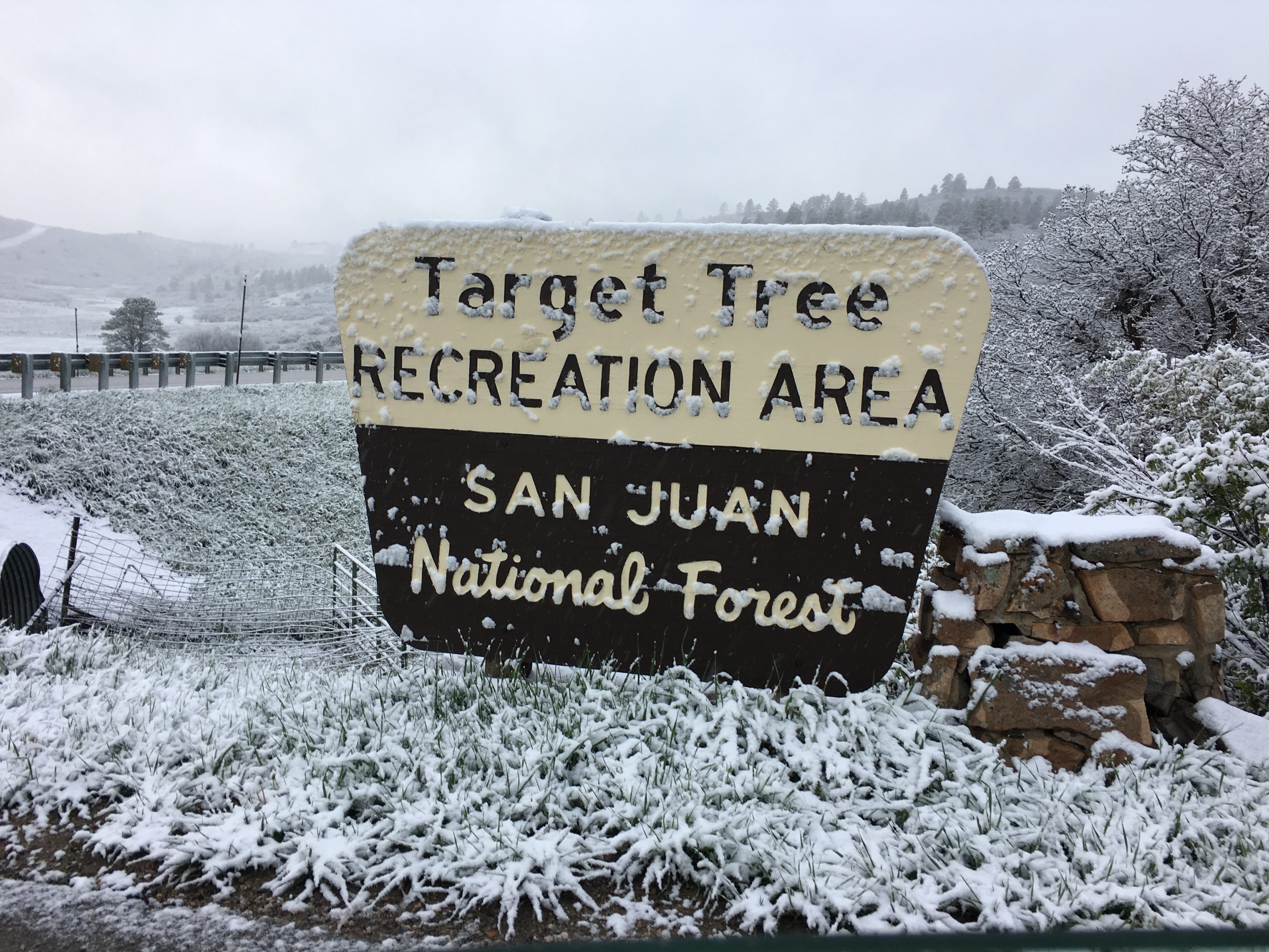 Snow now covers the target tree recreation area sign