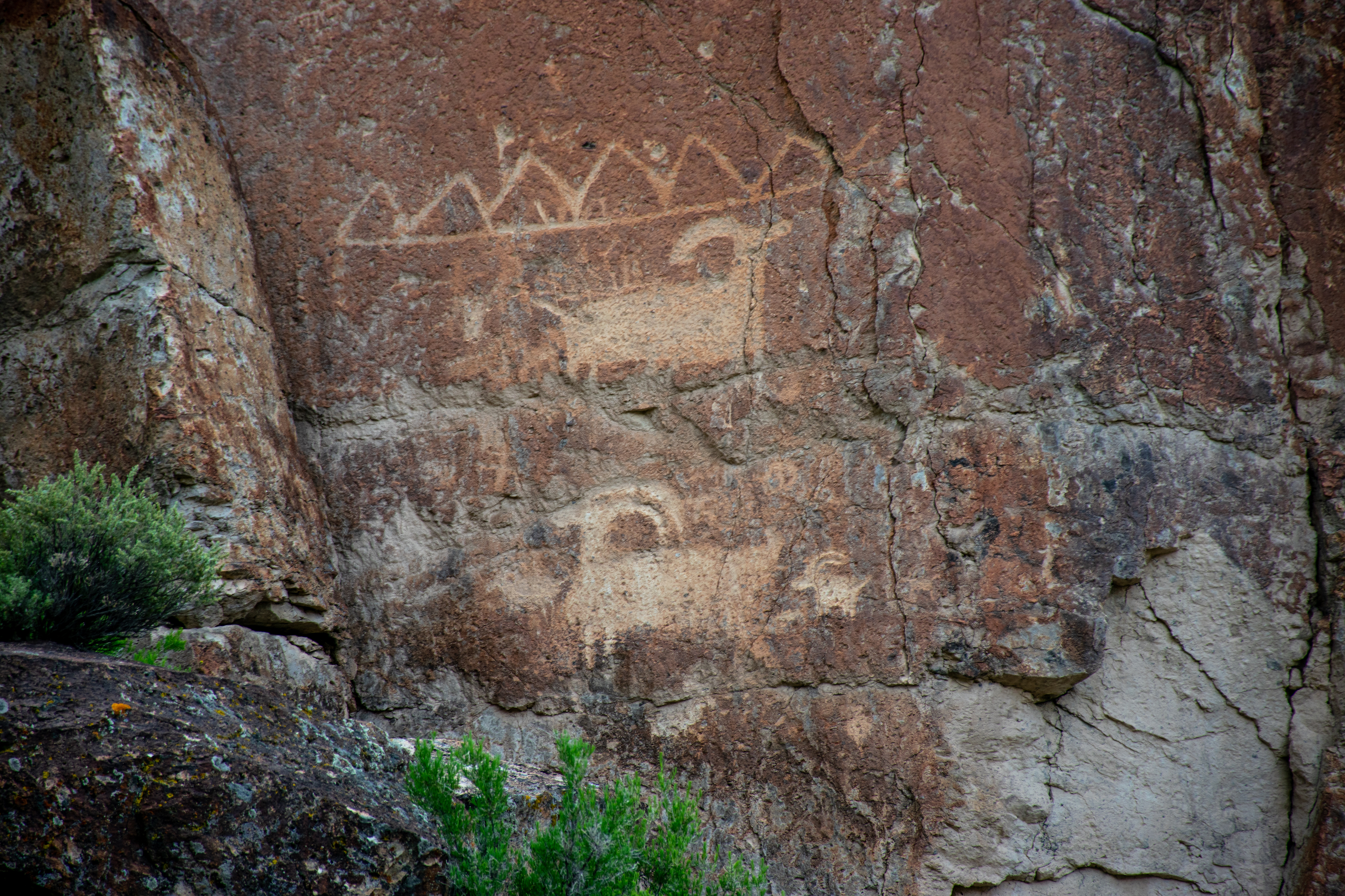 Two antelope drawings on a rock wall