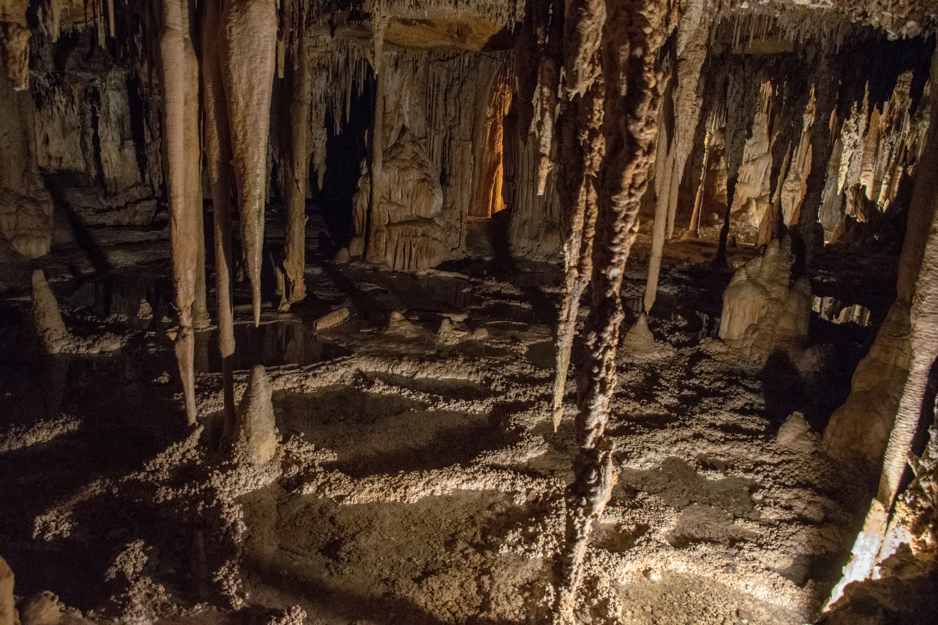 Ponds with Lehman Caves