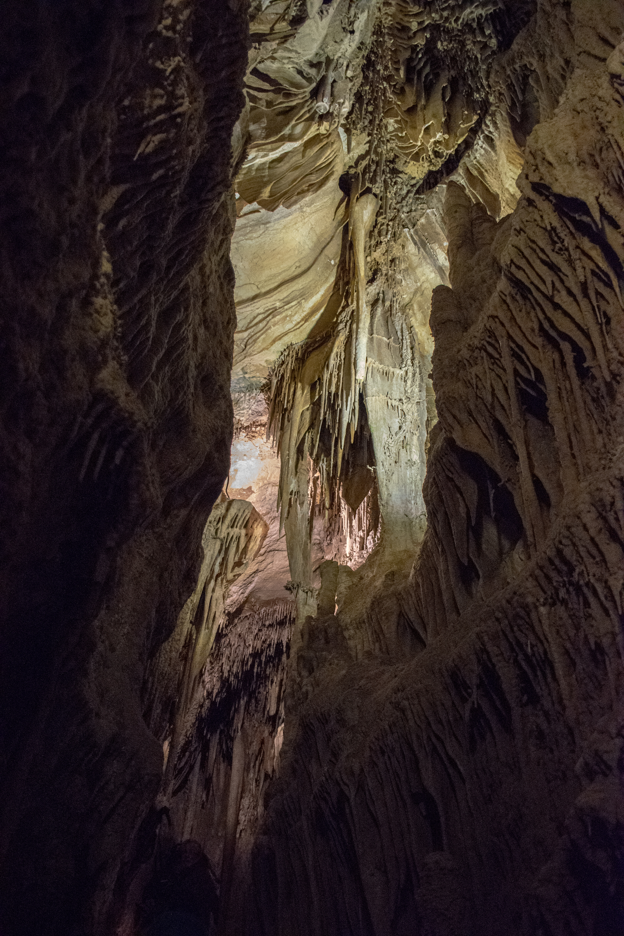 Stalactites in Lehman Caves