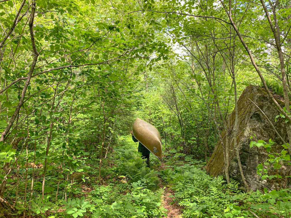 A person carries a canoe down a narrow path surrounded by green plants